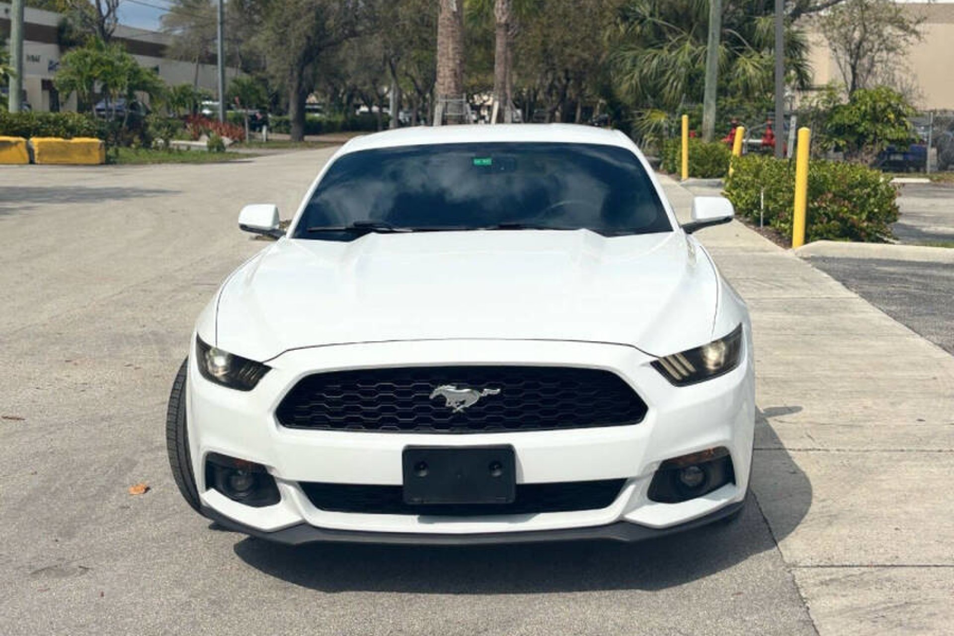 Ford Mustang EcoBoost Premium