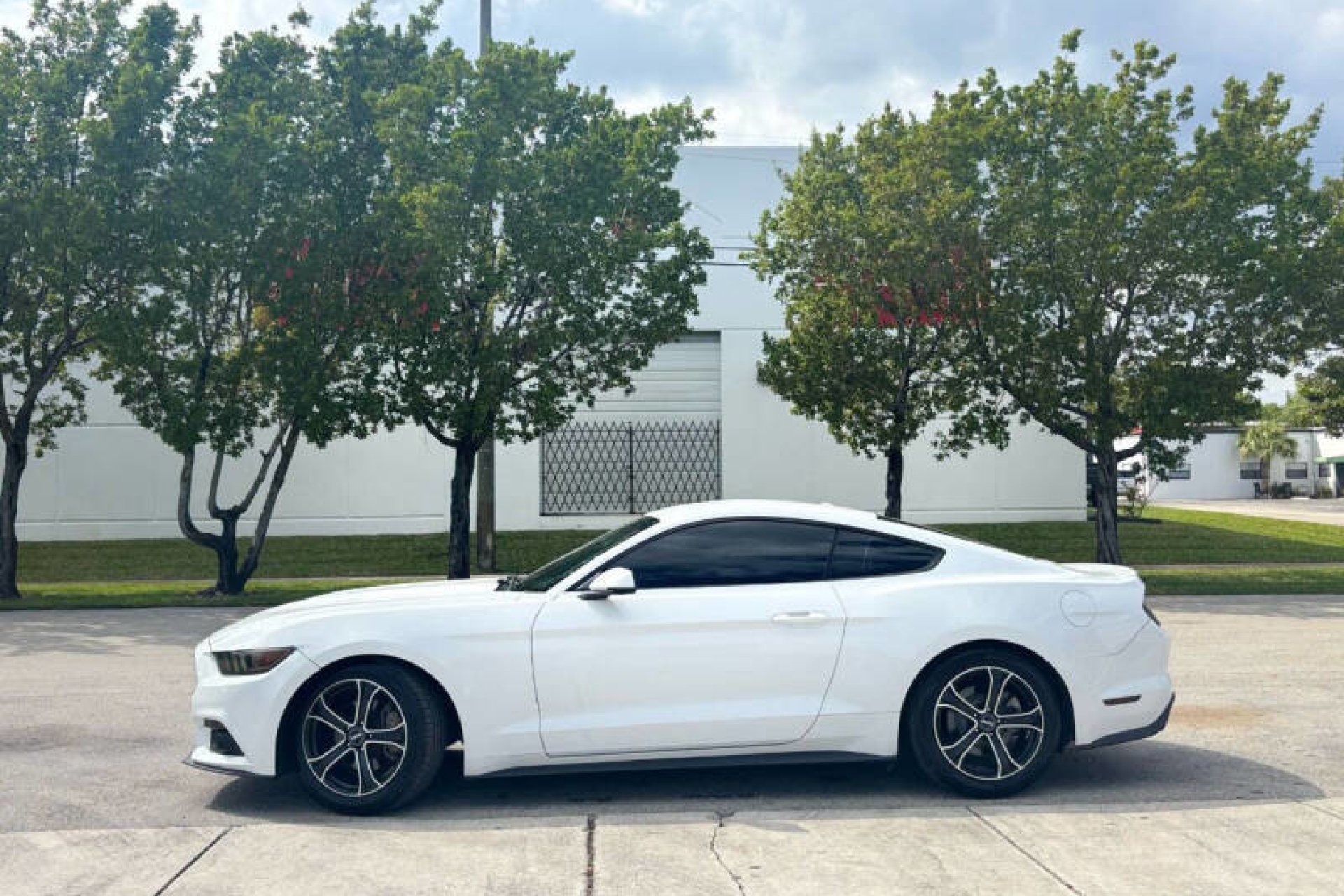 Ford Mustang EcoBoost Premium